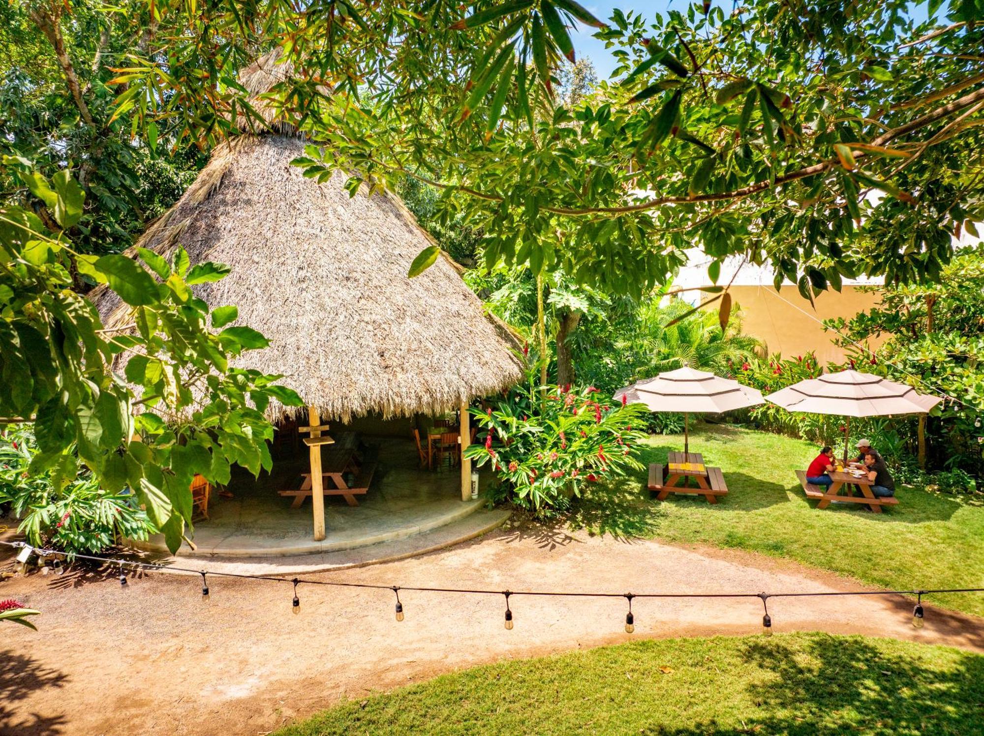 Hotel Villas Sayulita Buitenkant foto