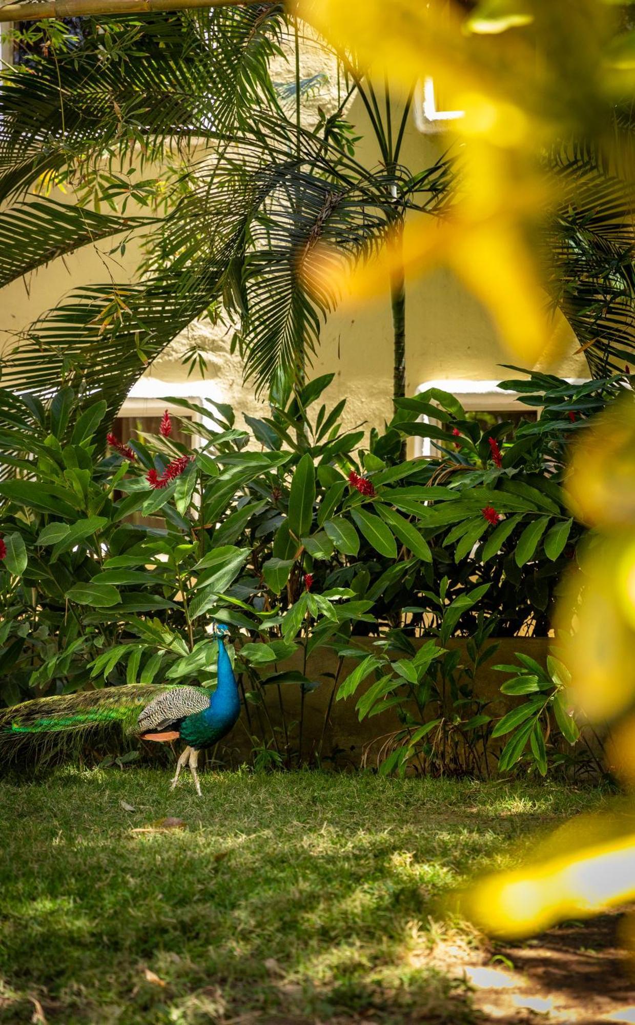Hotel Villas Sayulita Buitenkant foto