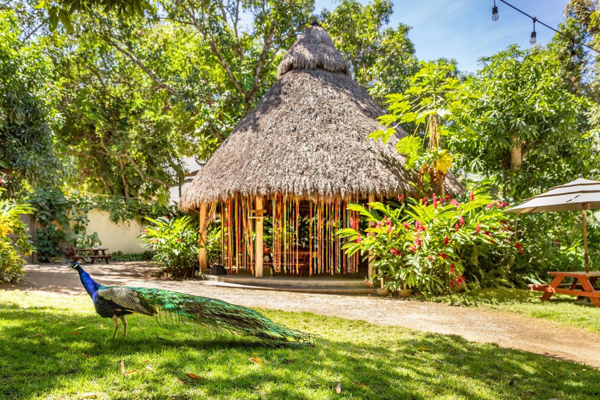 Hotel Villas Sayulita Buitenkant foto